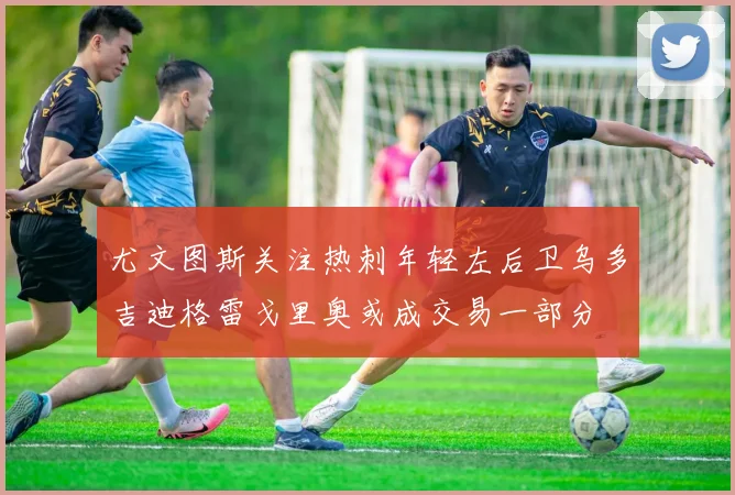 尤文图斯关注热刺年轻左后卫乌多吉迪格雷戈里奥或成交易一部分